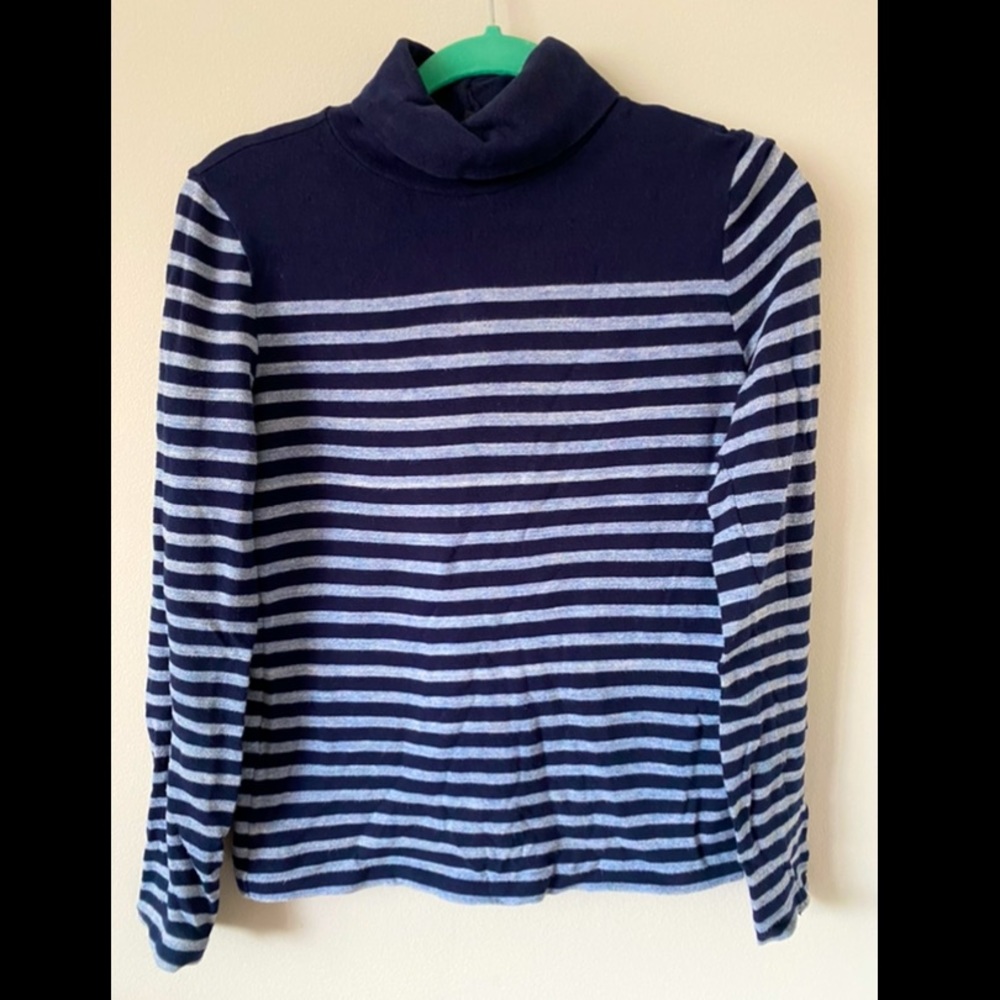 J Crew Blue Striped Turtleneck Sweater